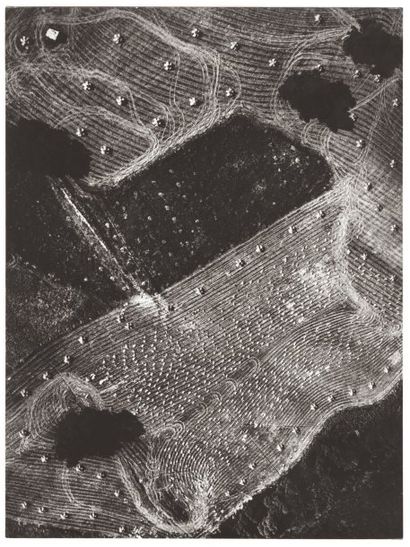Mario Giacomelli (1925-2000)
Paysage I Senigallia,...