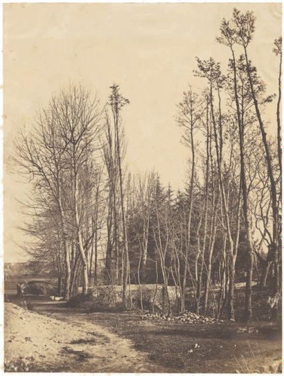 Camille Bernabé (1808-post 1860)
Claude-Marie...