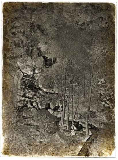 Charles Nègre ( 1820-1880)
Ruisseau en forêt...