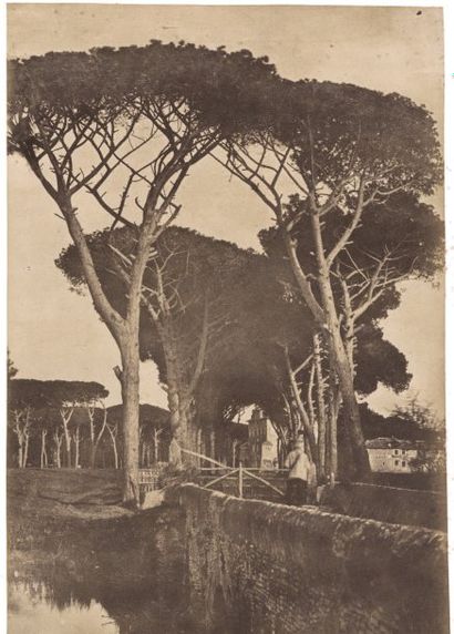 Giacomo Caneva (1813-1865)
Le peintre de...