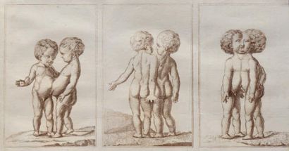 [MILLOT (Jacques-André)]
L'ART DE PROCRÉER...