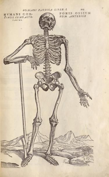 VESALE (Andréas)
DE HUMANI CORPORIS FABRICA....