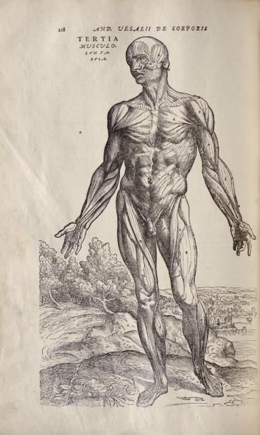 VESALE (Andréas)
DE HUMANI CORPORIS FABRICA....
