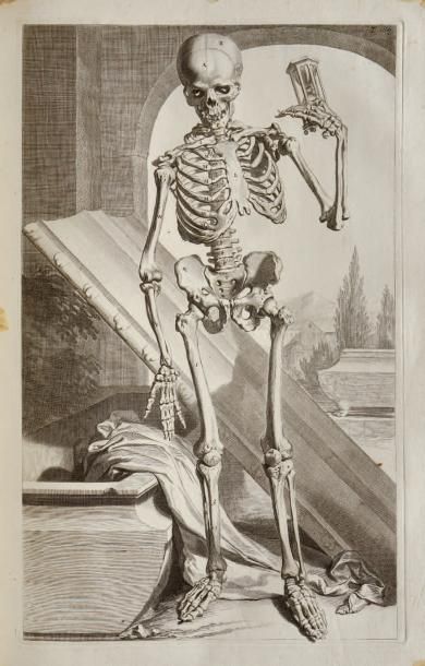 COWPER (Gulielmo)
ANATOMIA CORPORUM HUMANORUM......