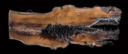 Jacopo Mandich
Sezione 05, 2016
Bois et fer
L....