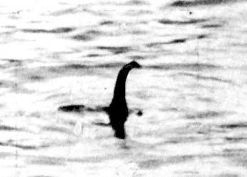 Zarafasaura oceanis
Fin du Crétacé
Maroc
H....