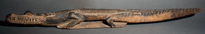 Crocodile Aire Sépik, Papouasie Nouvelle-Guinée.
Bois...