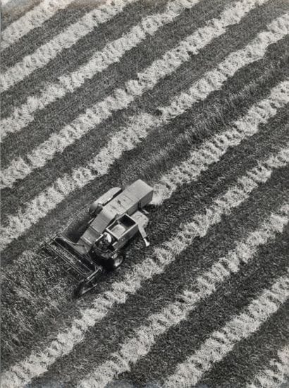 MARTIN André
LES MOISSONS. Circa 1965 ; 40...