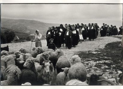 MARTIN André
PROCESSION. Calabre, circa 1958...