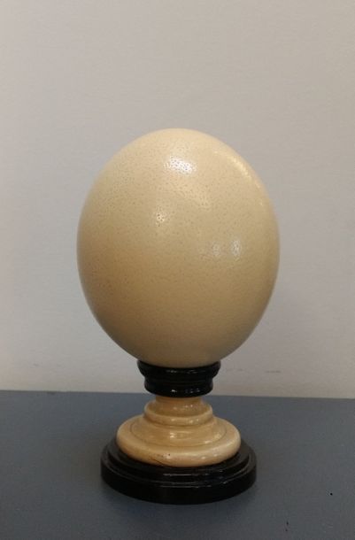Oeuf d autruche monté sur un socle en bois...