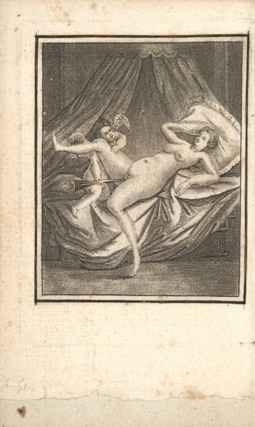 CURIOSA. - La Bibliothèque des paillards....