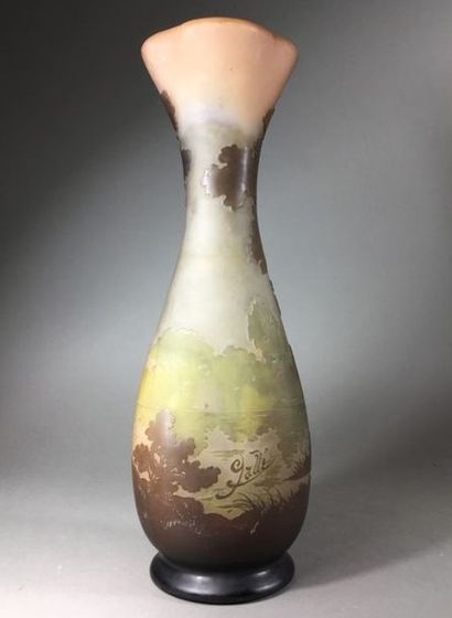 D'après Emile GALLE
Grand vase balustre à...