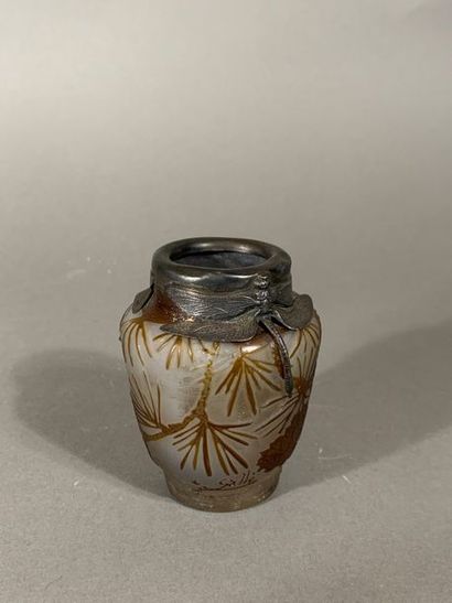 Établissements GALLÉ (1904-1936)
Vase en...