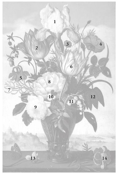 Ambrosius BOSSCHAERT le vieux (Anvers 1573...