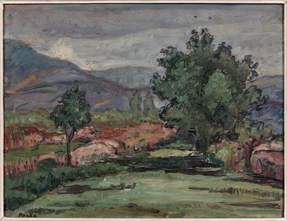 Jean PESKÉ (1870-1949)

Environs d'Argeles...