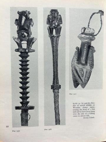 ? Chasse-mouche Tahiri-ra'a des Îles Australes...