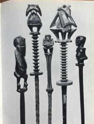 ? Chasse-mouche Tahiri-ra'a des Îles Australes...