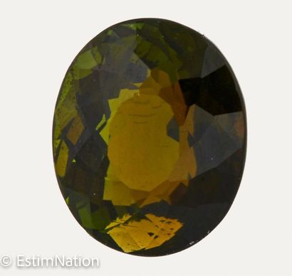 TOURMALINE 3.15 CARAT 
Faceted oval tourmaline...