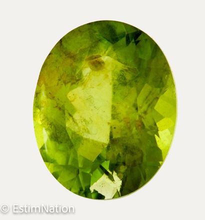 PERIDOTS 7.72 CARAT 
Pair of oval peridots...
