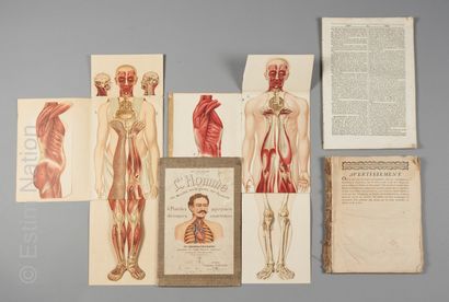 ANATOMIE
Ensemble comprenant : 

- Modèles...