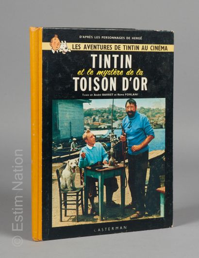 LES ALBUMS DE TINTIN AU CINEMA
TINTIN and...