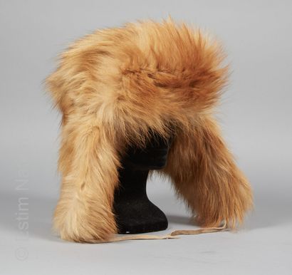 ANONYME
CHAPKA in European red fox (T 61)...