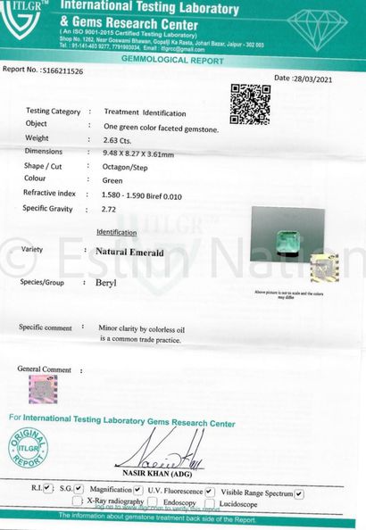 EMERAUDE SUR PAPIER AVEC CERTIFICAT
One emerald...