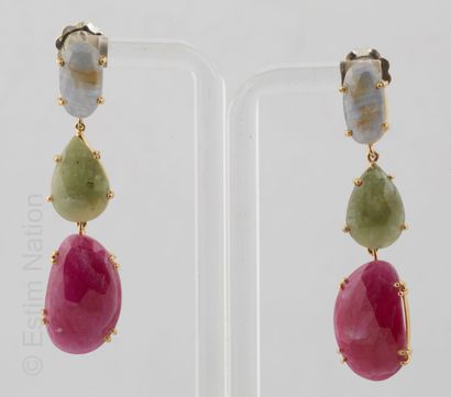 PENDANTS D'OREILLES VERMEIL ET RACINES DE...