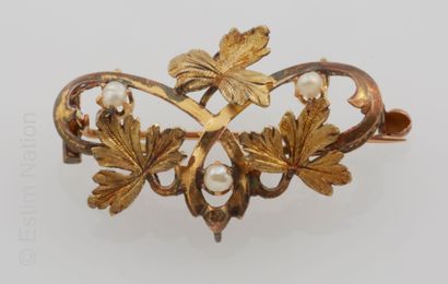 BROCHE OR
Broche pendentif en or deux tons...