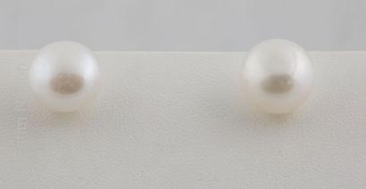 BOUCLES D'OREILLES PERLE
Paire de boucles...