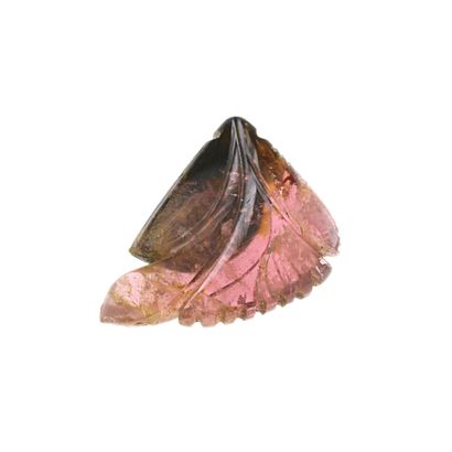 TOURMALINE BICOLORE SCULPTÉE ET RAPPORT D'ANALYSE
A...