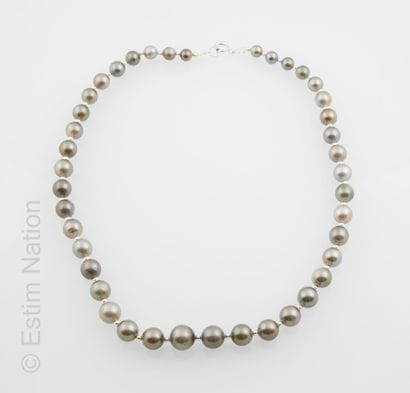 COLLIER PERLES TAHITI
Necklace made of 41...