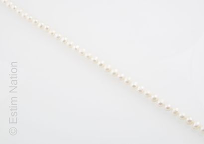 PERLES DE CULTURE - A ENFILER 
Set of cultured...