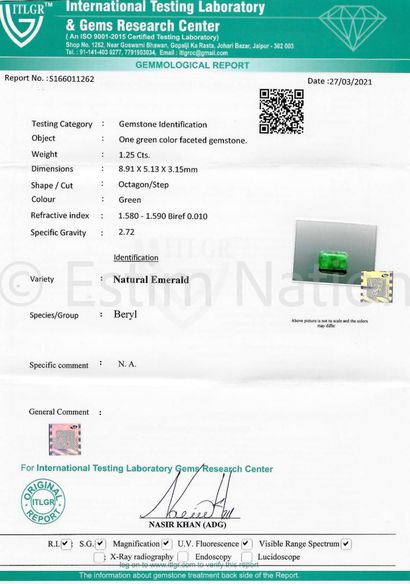 EMERAUDE SUR PAPIER AVEC CERTIFICAT
One emerald...