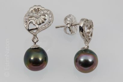BOUCLES D'OREILLES PERLE TAHITI
Paire de...