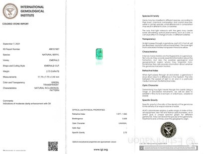 EMERAUDE SUR PAPIER ET CERTIFICAT
One emerald...