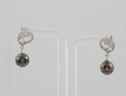 BOUCLES D'OREILLES PERLES TAHITI
Paire de...