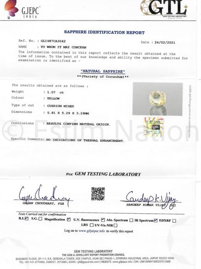 LOT DE CORINDONS SUR PAPIER AVEC CERTIFICATS
Lot...