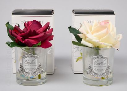 COTE NOIRE
DEUX ROSES composites en gel et...