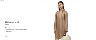 LOEWE (MANQUE GRIFFE) (COLLECTION AUTOMNE...