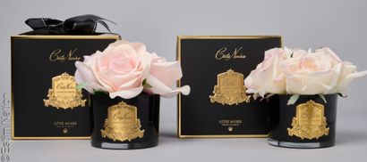 COTE NOIRE
DEUX BOUQUETS DE ROSES en gel...