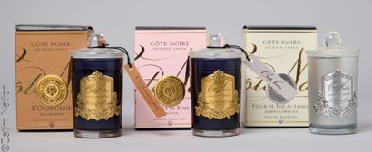 COTE NOIRE
TROIS BOUGIES 75g 