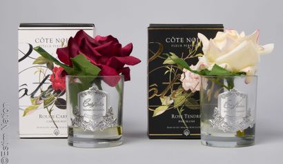 COTE NOIRE
DEUX ROSES en gel : rose tendre...