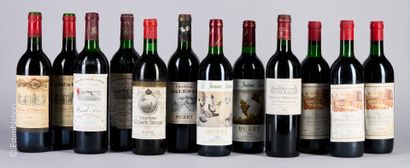 BORDEAUX
24 bouteilles : 2 Château les Millaux...