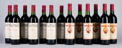SUD-OUEST
13 bouteilles : 3 Vin du Tsar 1993...