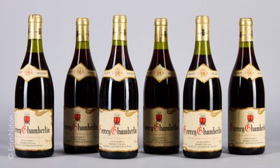 BOURGOGNE
6 bouteilles Gevrey-Chambertin...
