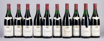 LOIRE
10 bouteilles Bourgueil 1987 Domaine...