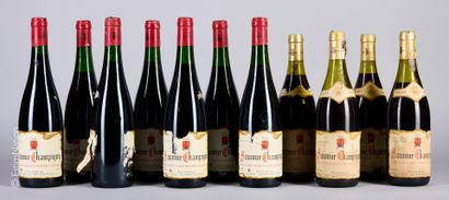LOIRE
11 bouteilles : 4 Saumur-Champigny...