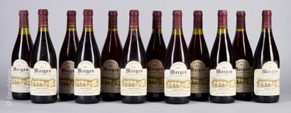 RHÔNE
12 bouteilles Morgon 1995 Domaine Robert...