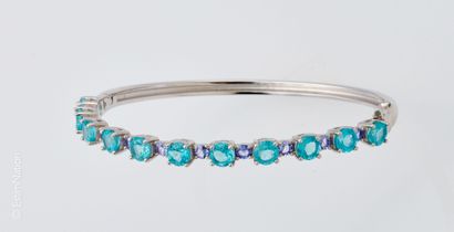 BRACELET JONC APATITES TANZANITE
Bracelet...